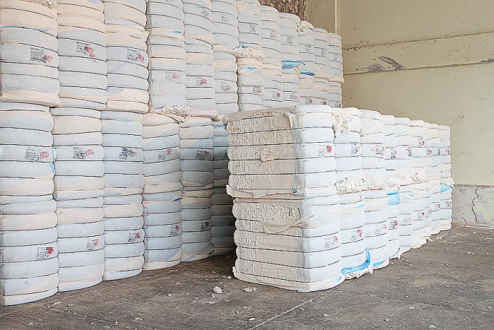 Ginned Cotton